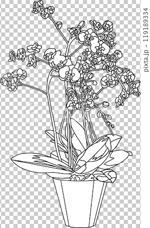 塗り絵、花の鉢植イラスト、背景透明 塗り絵、花の鉢植イラスト、背景透明 119189334