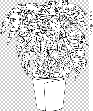 Coloring book, flower pot illustration, transparent background Coloring book, flower pot illustration, transparent background 119189335