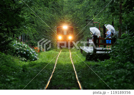 芦野公園駅の緑の桜トンネル（青森県五所川原市） 119189356