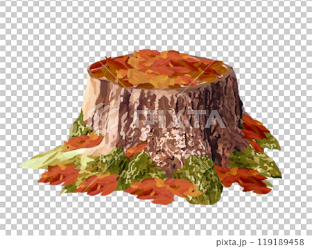 Stump (withered stump) with fallen leaves 119189458