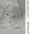 砂金 119189789