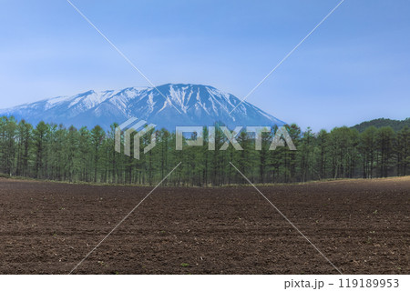 春の農場防風林と残雪の岩手山 119189953
