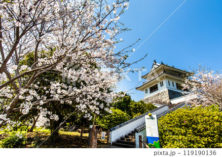 竹崎城址展望台の桜 【佐賀県藤津郡太良町竹崎】 竹崎城址展望台の桜 【佐賀県藤津郡太良町竹崎】 119190136