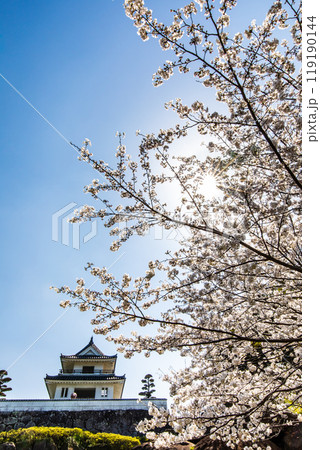 竹崎城址展望台の桜 【佐賀県藤津郡太良町竹崎】 竹崎城址展望台の桜 【佐賀県藤津郡太良町竹崎】 119190144