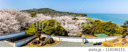 竹崎城址展望台の桜　パノラマ　【佐賀県藤津郡太良町竹崎】 119190153