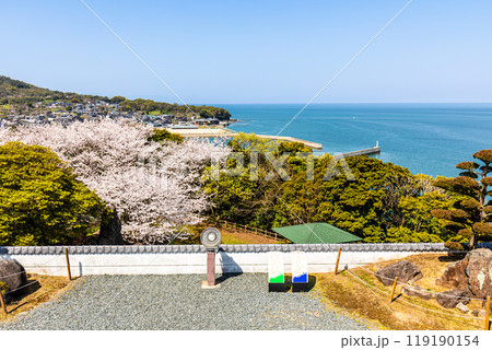 竹崎城址展望台の桜　【佐賀県藤津郡太良町竹崎】 119190154