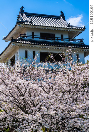 竹崎城址展望台の桜　【佐賀県藤津郡太良町竹崎】 119190164