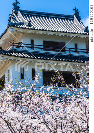竹崎城址展望台の桜 【佐賀県藤津郡太良町竹崎】 竹崎城址展望台の桜 【佐賀県藤津郡太良町竹崎】 119190165