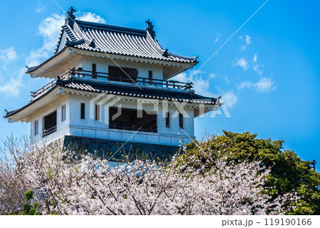 竹崎城址展望台の桜　【佐賀県藤津郡太良町竹崎】 119190166