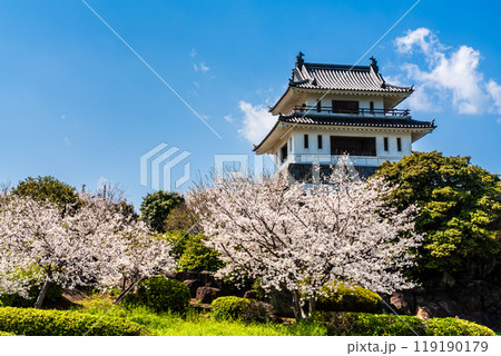 竹崎城址展望台の桜　【佐賀県藤津郡太良町竹崎】 119190179