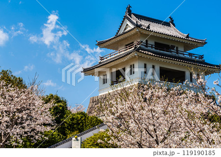 竹崎城址展望台の桜　【佐賀県藤津郡太良町竹崎】 119190185