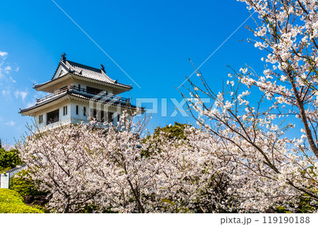 竹崎城址展望台の桜　【佐賀県藤津郡太良町竹崎】 119190188