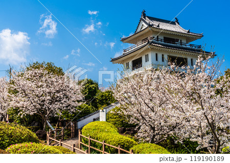 竹崎城址展望台の桜 【佐賀県藤津郡太良町竹崎】 竹崎城址展望台の桜 【佐賀県藤津郡太良町竹崎】 119190189