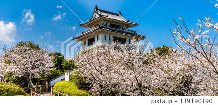 竹崎城址展望台の桜　パノラマ　【佐賀県藤津郡太良町竹崎】 119190190