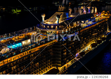 長崎港客船出港（Spectrum of the Seas）女神大橋から夜景ライトアップ【長崎市】 119190268