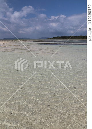 竹富島 竹富島 119190579