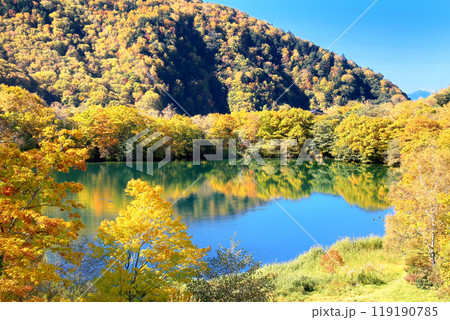 志賀高原・丸池の紅葉 志賀高原・丸池の紅葉 119190785