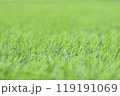 Artificial green grass 119191069