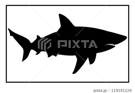 Basking Shark Silhouette Underwater, Basking Shark Black Icons Illustration 119191229