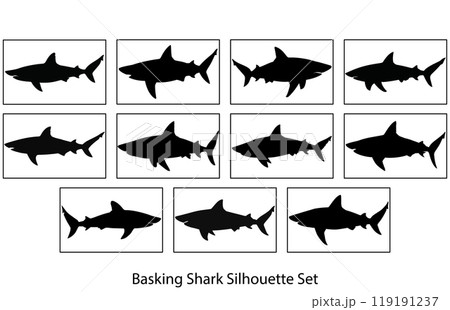 Basking Shark Silhouette Underwater, Basking Shark Black Icons Illustration Basking Shark Silhouette Underwater, Basking Shark Black Icons Illustration 119191237