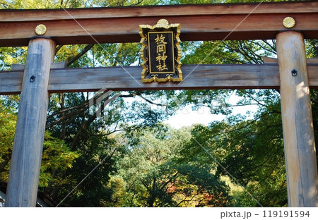 枚岡神社の鳥居 119191594