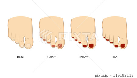 Pedicure steps, base, color and top vector illustration design. 119192115