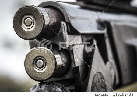 Trunks of a hunting rifle Trunks of a hunting rifle 119192438