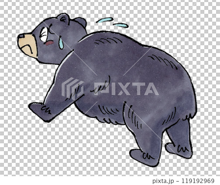 逃げるツキノワグマ 逃げるツキノワグマ 119192969