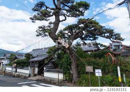 岐阜県 【中山道落合宿】善昌寺の「門冠(もんかぶり)の松」・木曽路 岐阜県 【中山道落合宿】善昌寺の「門冠(もんかぶり)の松」・木曽路 119193151