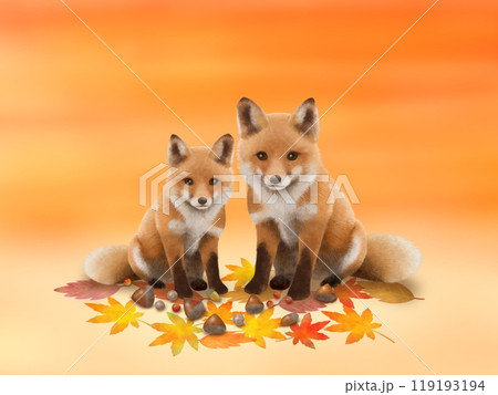 キツネの背景　A-2 119193194