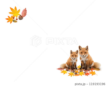 キツネの背景 B-1 キツネの背景 B-1 119193196