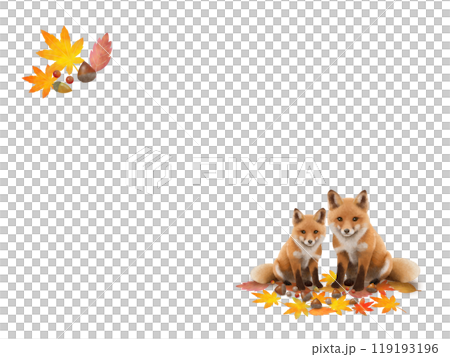 キツネの背景 B-1 キツネの背景 B-1 119193196