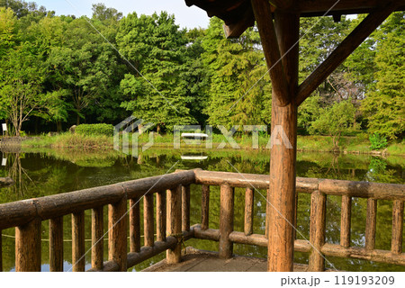 秋の色づき始め あずま屋からの眺め 大池湖畔 城山公園 桶川市 秋の色づき始め あずま屋からの眺め 大池湖畔 城山公園 桶川市 119193209