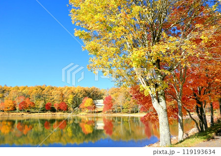 女神湖の紅葉 119193634
