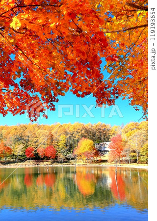 女神湖の紅葉 119193654