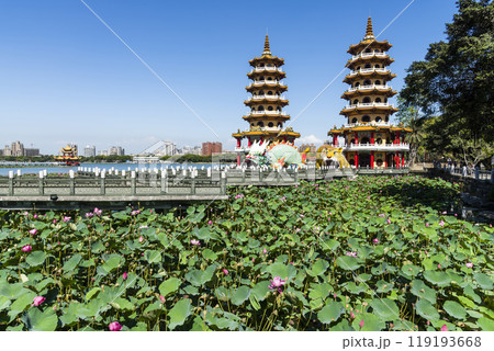 View of the lotus in bloom at the Dragon and Tiger Pagoda in Lotus Pond, Kaohsiung, Taiwan. 119193668