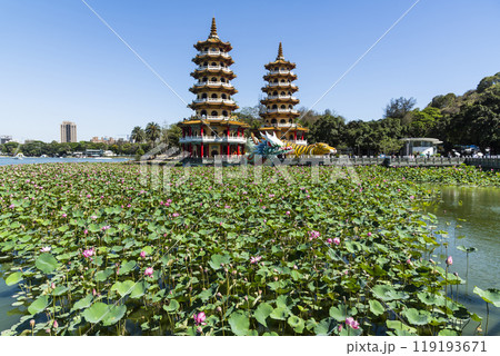 View of the lotus in bloom at the Dragon and Tiger Pagoda in Lotus Pond, Kaohsiung, Taiwan. 119193671