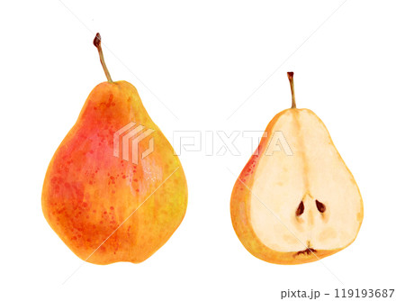 Yellow whole pear with half of fruit. Botanical watercolor and marker illustration. Hand drawn isolated drawing. Clip art of ripe fruits from tree for menu design, agriculture. Organic food sketch. 119193687