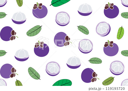 Illustration, Abstract pattern of mangosteen on white color background. 119193720