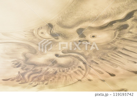 大本山建仁寺塔頭　霊源院天井画の龍 119193742