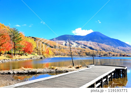 女神湖の紅葉と蓼科山 119193771