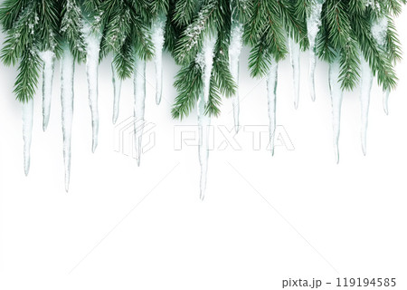 Evergreen branches with icicles and snow, bright and fresh, on a white background, concept of winter beauty Evergreen branches with icicles and snow, bright and fresh, on a white background, concept of winter beauty 119194585