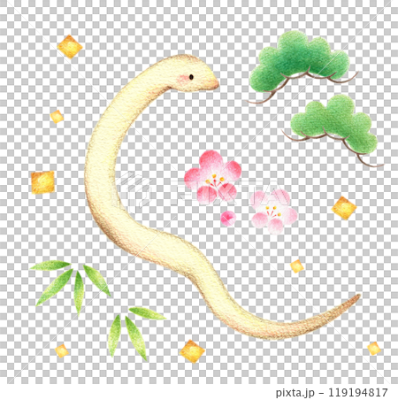 ヘビと松竹梅のセット　手描き色鉛筆画 119194817