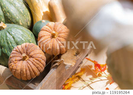 ハロウィン・イベント イメージ 119195264