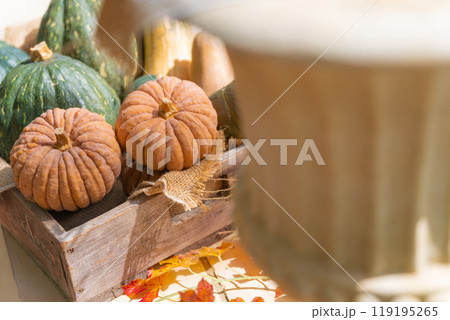 ハロウィン・イベント イメージ 119195265