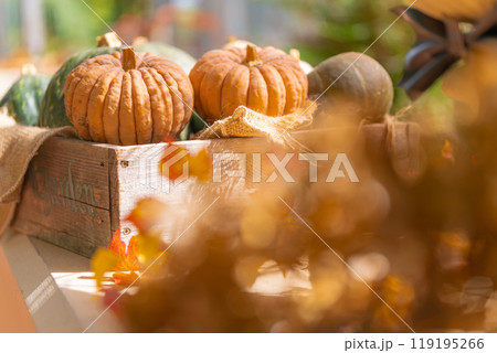 ハロウィン・イベント イメージ 119195266