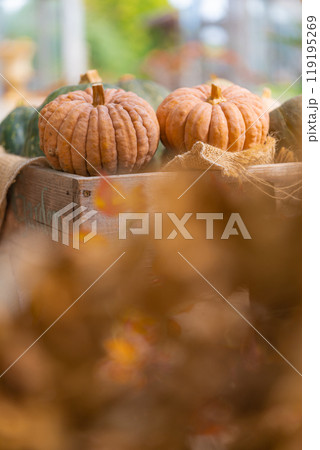 ハロウィン・イベント イメージ 119195269