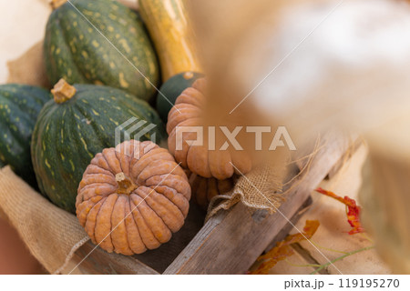 ハロウィン・イベント イメージ 119195270