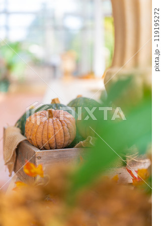 ハロウィン・イベント イメージ ハロウィン・イベント イメージ 119195272