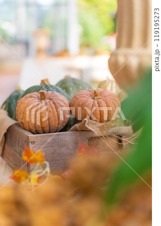 ハロウィン・イベント イメージ ハロウィン・イベント イメージ 119195273